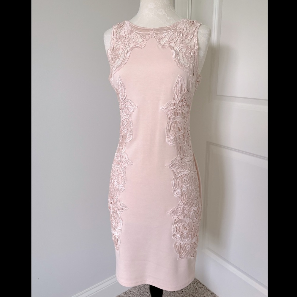 Lipsy Pale Pink Lace Detail Dress